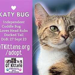 Thumbnail photo of Katy Bug #1