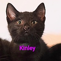 Photo of Kinley