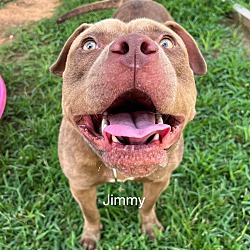 Thumbnail photo of Jimmy #3