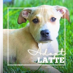 Thumbnail photo of Latte #2