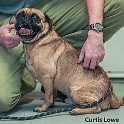 Thumbnail photo of Curtis Lowe #4