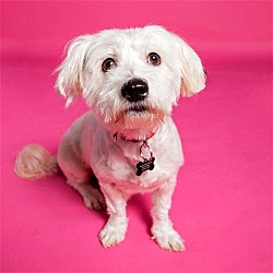Photo of Coconut