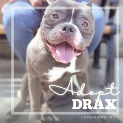 Thumbnail photo of Drax #4