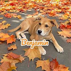 Thumbnail photo of Benjamin #1