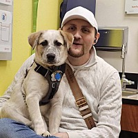 adopt a pet