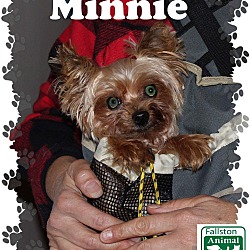 Thumbnail photo of Minnie #2