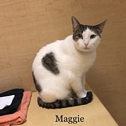 Thumbnail photo of Maggie #2