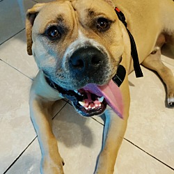 Photo of McGee