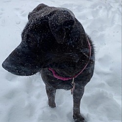 Photo of Billie Jo