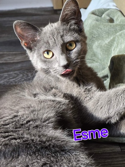 Photo of Esme