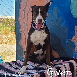 Thumbnail photo of Gwen #4