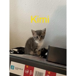 Photo of KIMI
