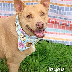 Photo of Jayda