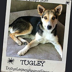Thumbnail photo of TUGLEY #1