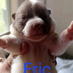 Photo of Eric 3123