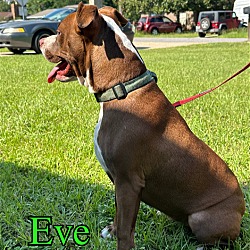 Thumbnail photo of Eve #2