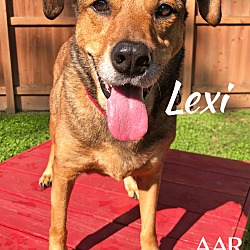 Thumbnail photo of Lexi #1