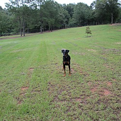 Photo of Lacey