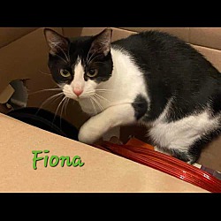 Thumbnail photo of Fiona #1