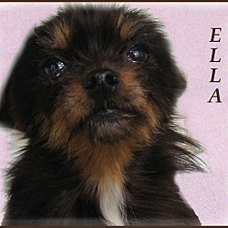 Thumbnail photo of Ella- Real Charmer! #3