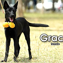 Thumbnail photo of Grace #3
