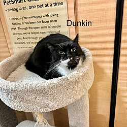 Photo of Dunkin