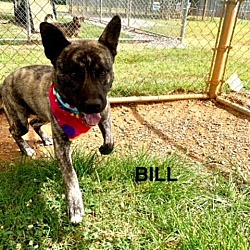 Thumbnail photo of Bill #1