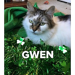 Thumbnail photo of GWEN #4