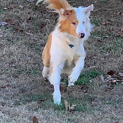 Thumbnail photo of Tate #1