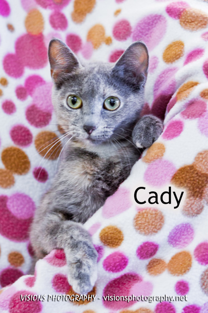 Photo of Cady