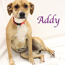 Thumbnail photo of Addy #1