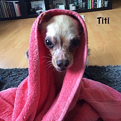 Photo of Titi