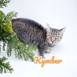 Thumbnail photo of Kymber #2