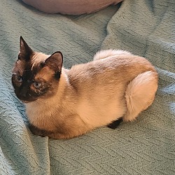 Photo of Kit