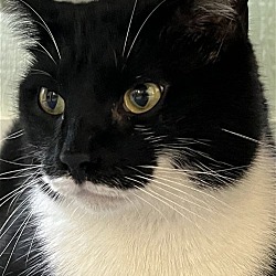 Photo of Electro