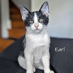 Thumbnail photo of Earl #2