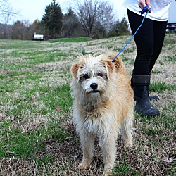 Thumbnail photo of Barbie~adopted! #1