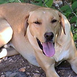 Photo of Frederick