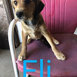 Photo of Eli