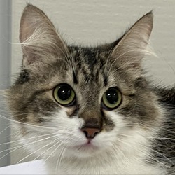 Photo of Feline Galindo