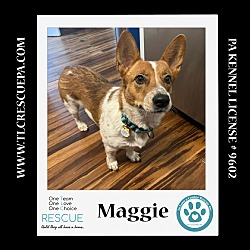 Thumbnail photo of Maggie 081724 #1