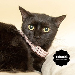 Photo of TAKASHI