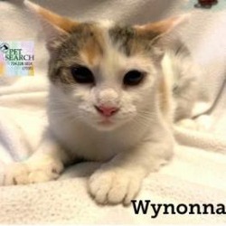 Photo of Wynonna