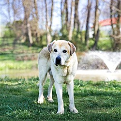 Photo of Clifford