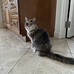 Photo of Lily 
