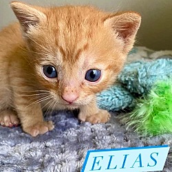 Photo of Elias