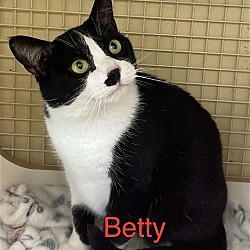 Thumbnail photo of Betty #1