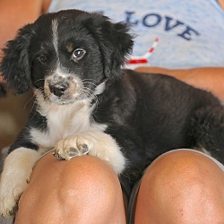 Thumbnail photo of Jimmy Conners~adopted! #2