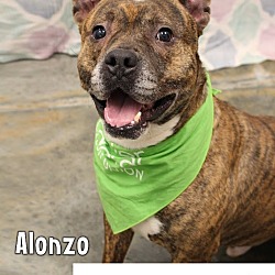Photo of Alonzo