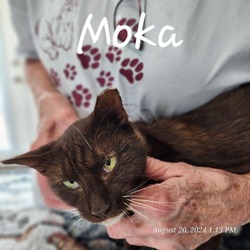 Thumbnail photo of Moka Bowers #1